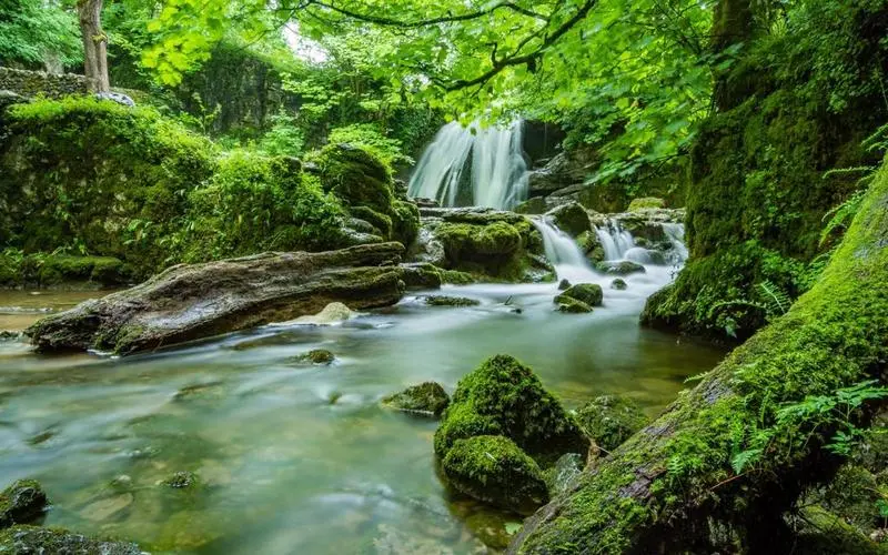 高性能高效电子